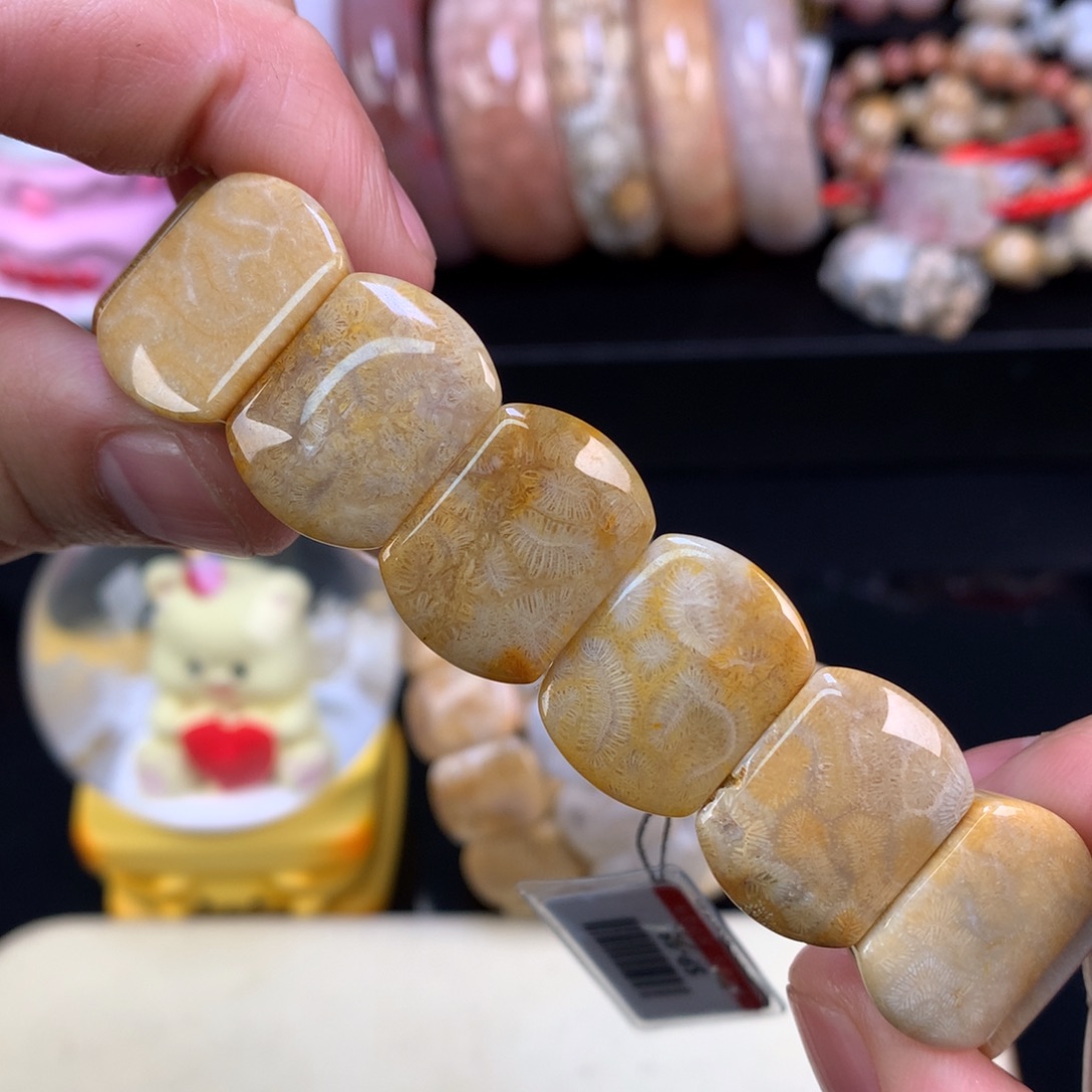 硅化珊瑚（珊瑚玉）未镶嵌颈饰3号胖虫