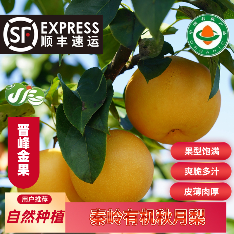 【达人热卖】顺丰包邮洋县秦岭有机梨子秋月梨当季新鲜6枚礼盒
