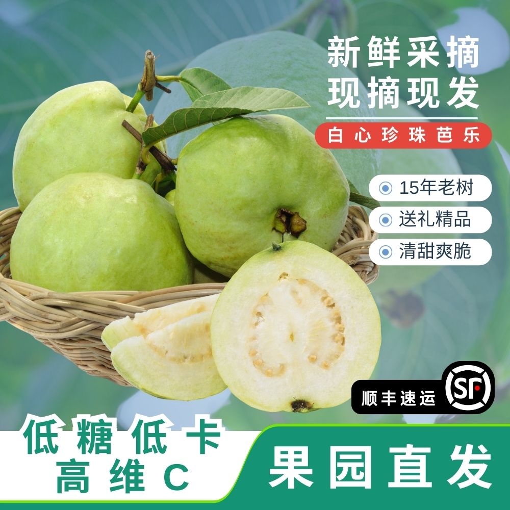 顺丰速达广东现摘白心珍珠芭乐精品番石榴低糖低卡高维C果园靓果