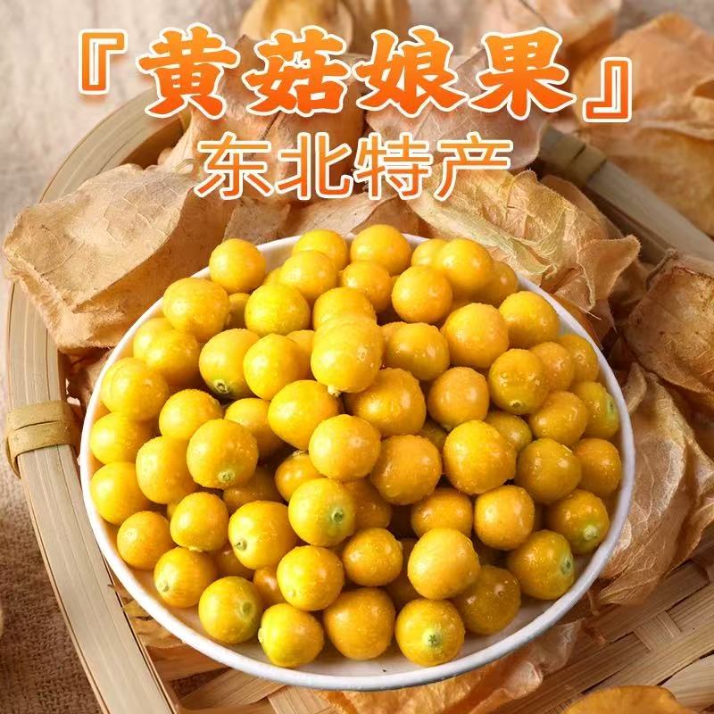 【东北头茬】当季新鲜采摘东北头茬大菇娘果250g/500g