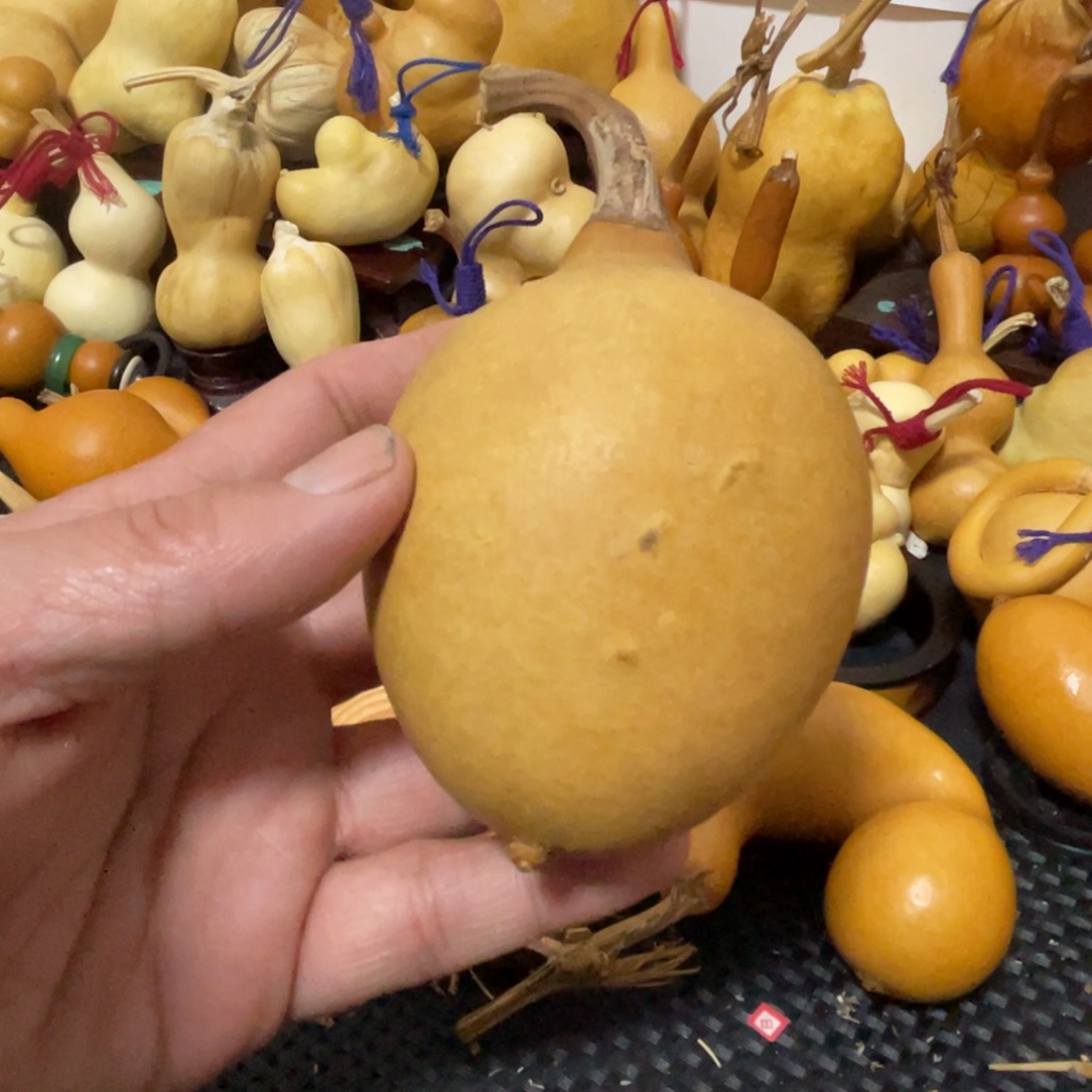 玛***。葫芦葫哈哈哈哈哈哈哈哈