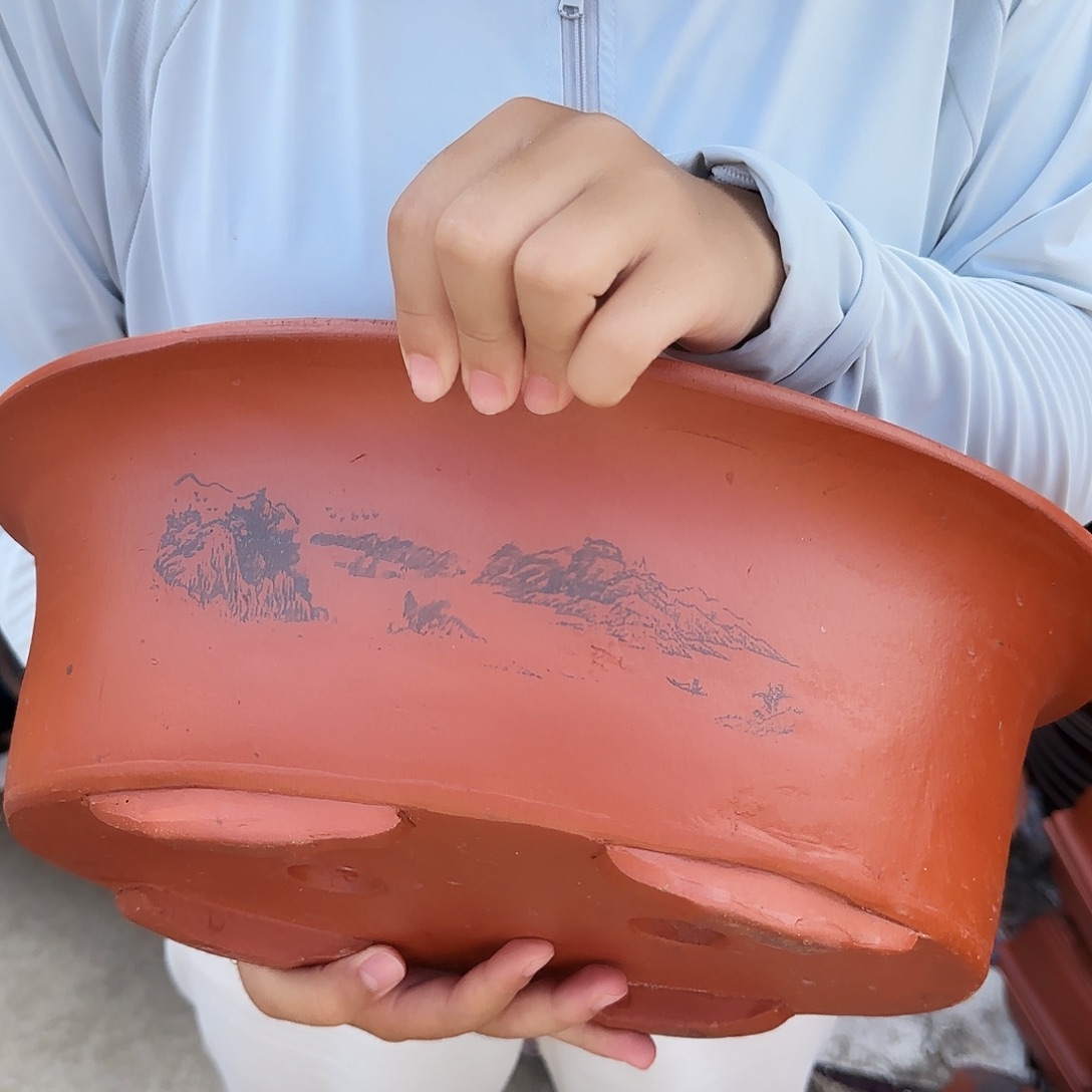 30红椭圆花盆花盆花盆