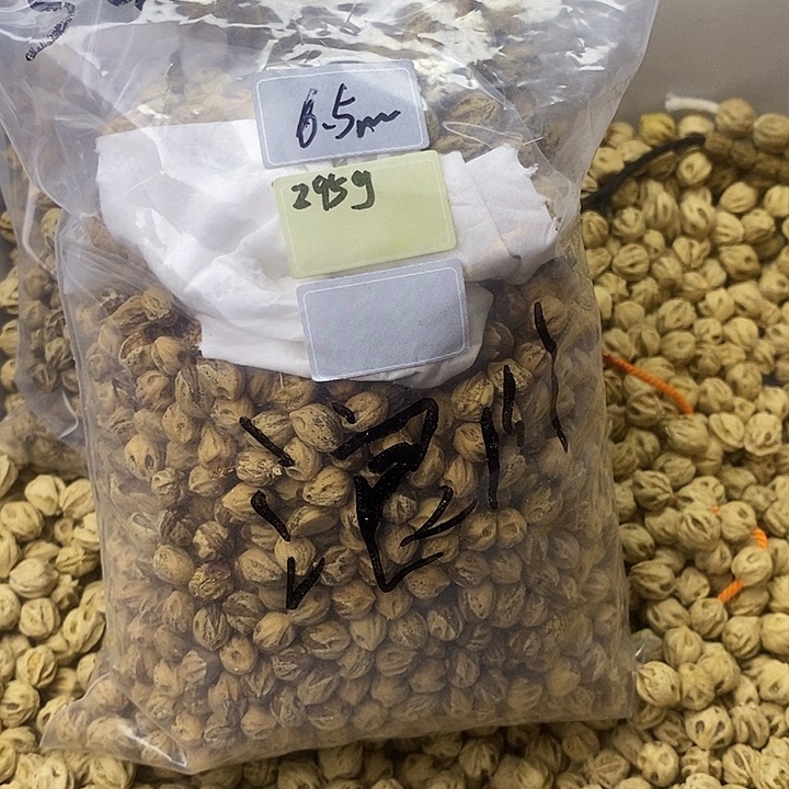 浪***川吊坠柏香籽/百香籽