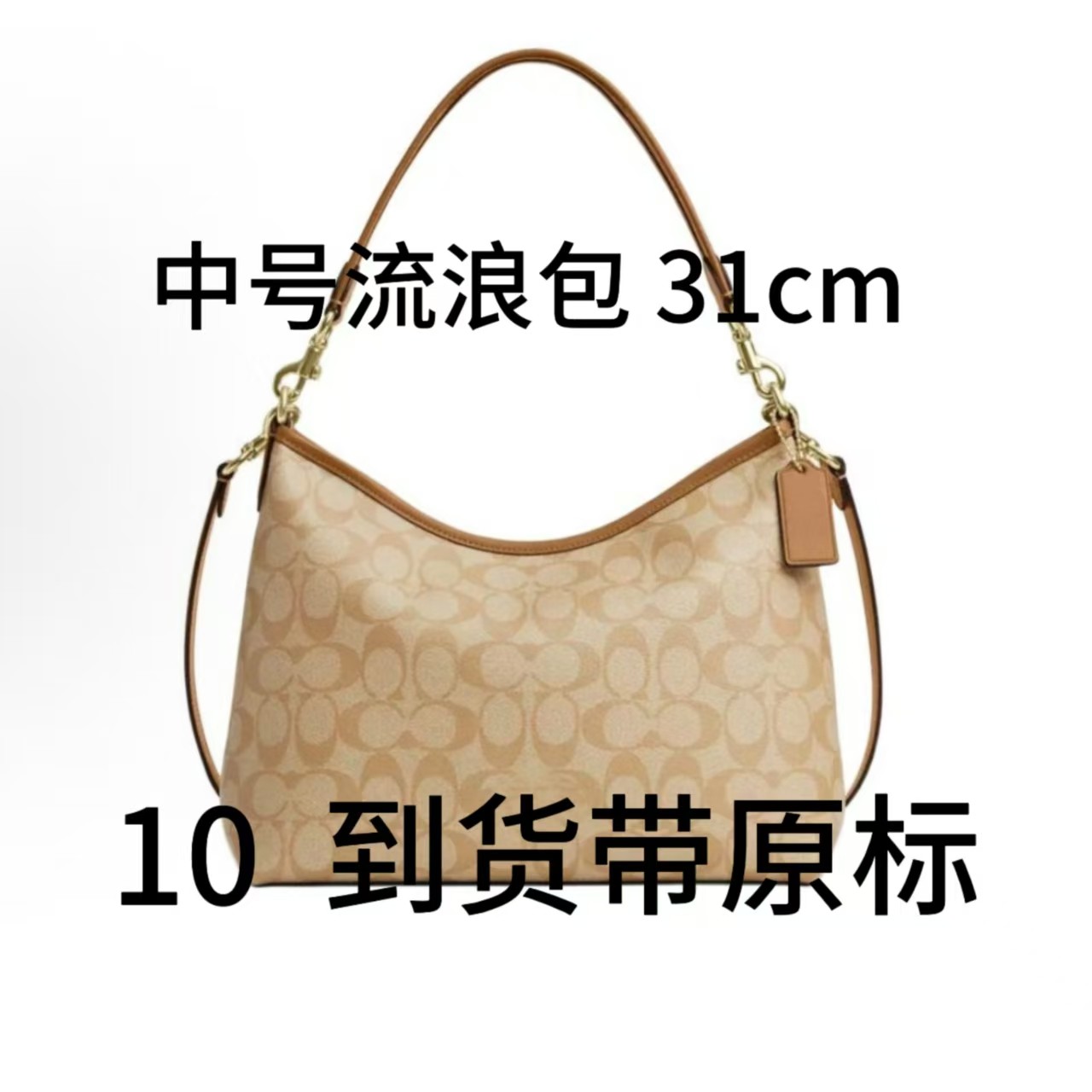 10号【Laurel31】中号流浪包CV975