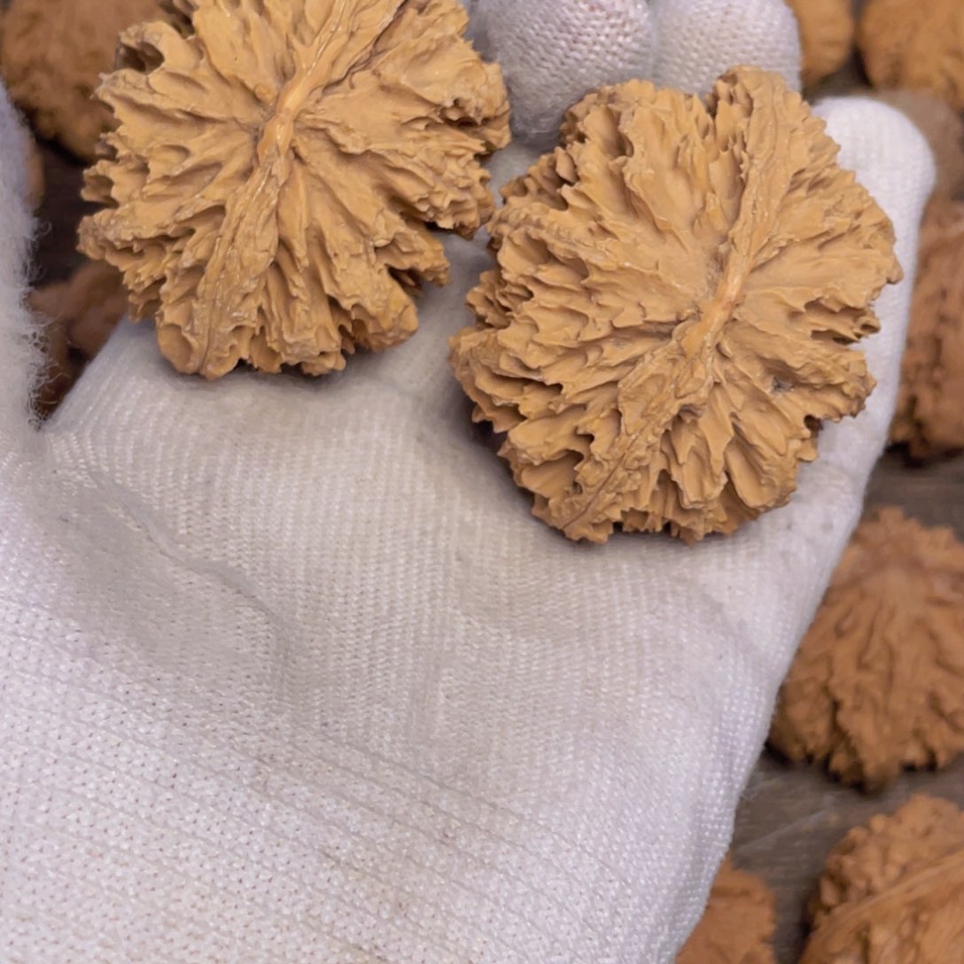 文玩核桃吊坠再****光6 秦岭灯笼野生小众