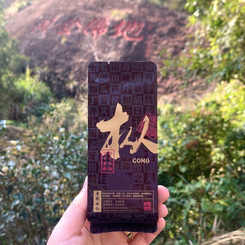 武夷山岩茶老枞水仙20茶叶泡装