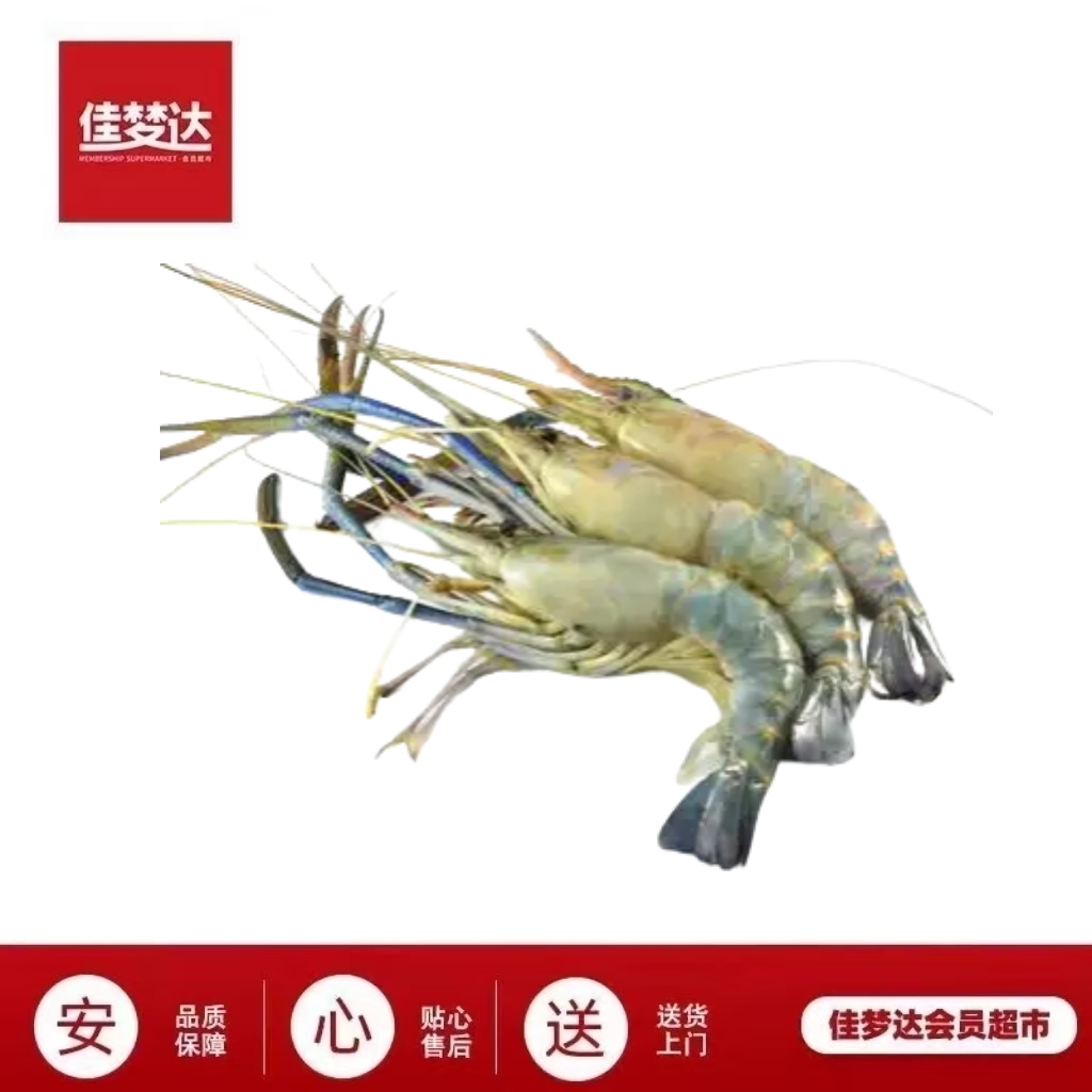 优选鲜活罗氏虾 保鲜不包活运输过程可能出现断氧介意慎拍（多规格）