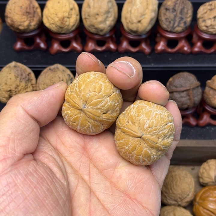 核桃云南铁核桃奶枣1