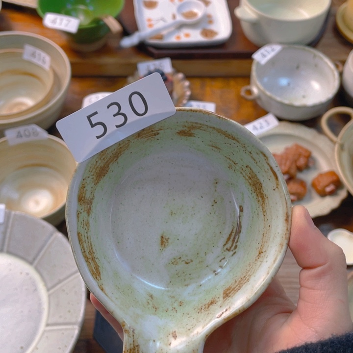 景德镇陶瓷学院等单位的专家学者