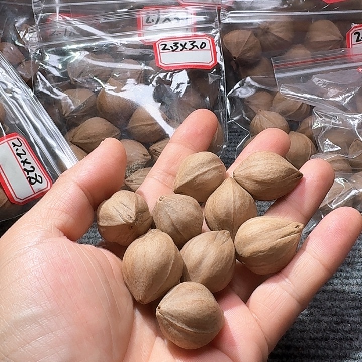 吊坠橄榄核郭***.2.2❌2.7