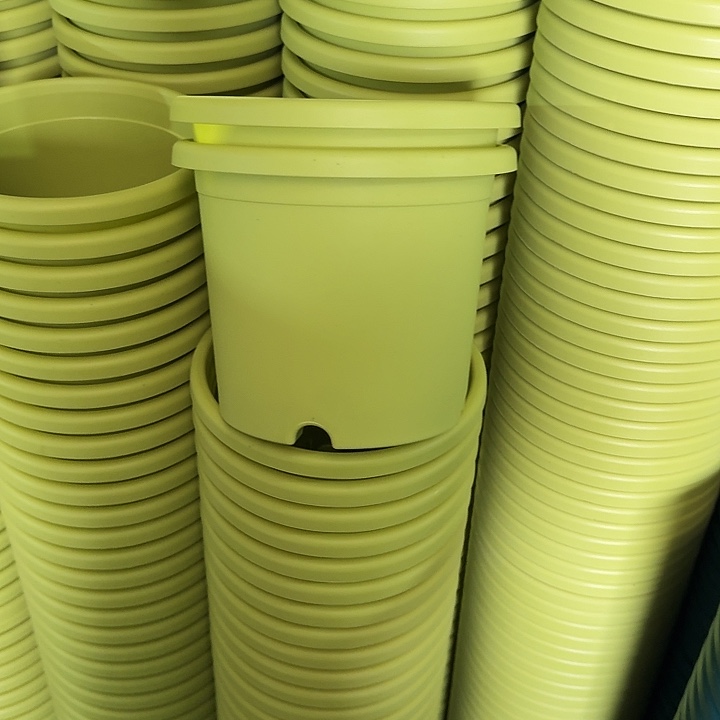 四季3#口径21果绿10个无托