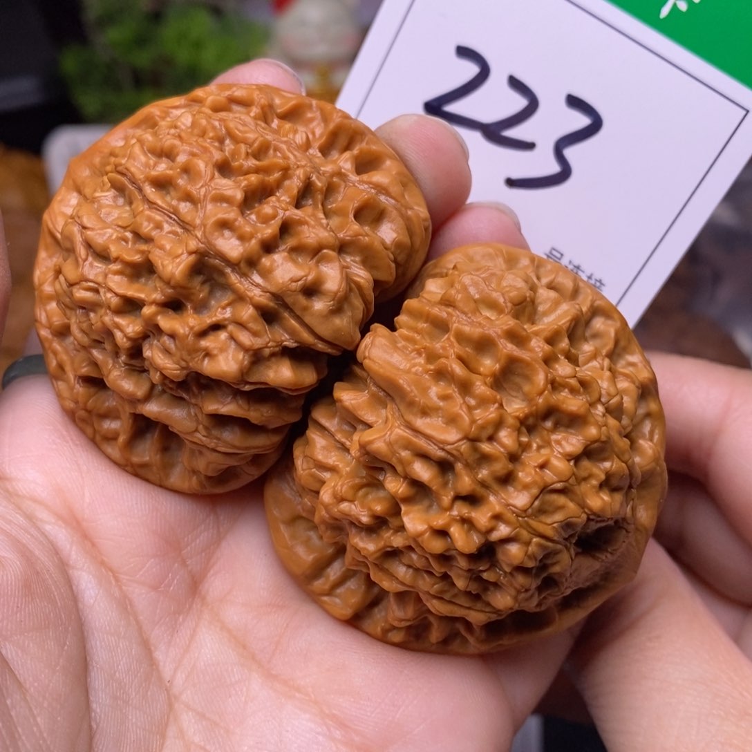 把件文玩核桃223官帽5.1