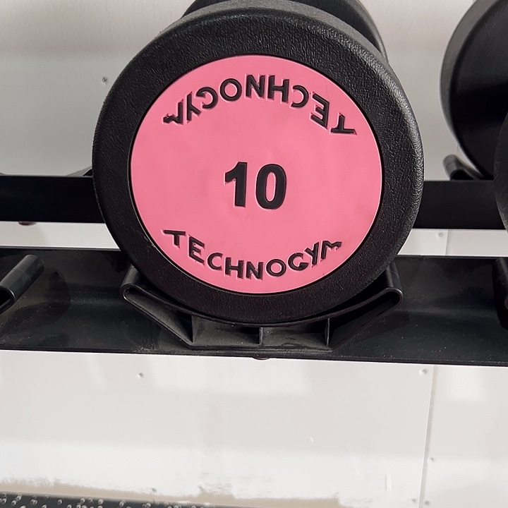 全新纯钢泰诺哑铃10公斤一对颜色随机