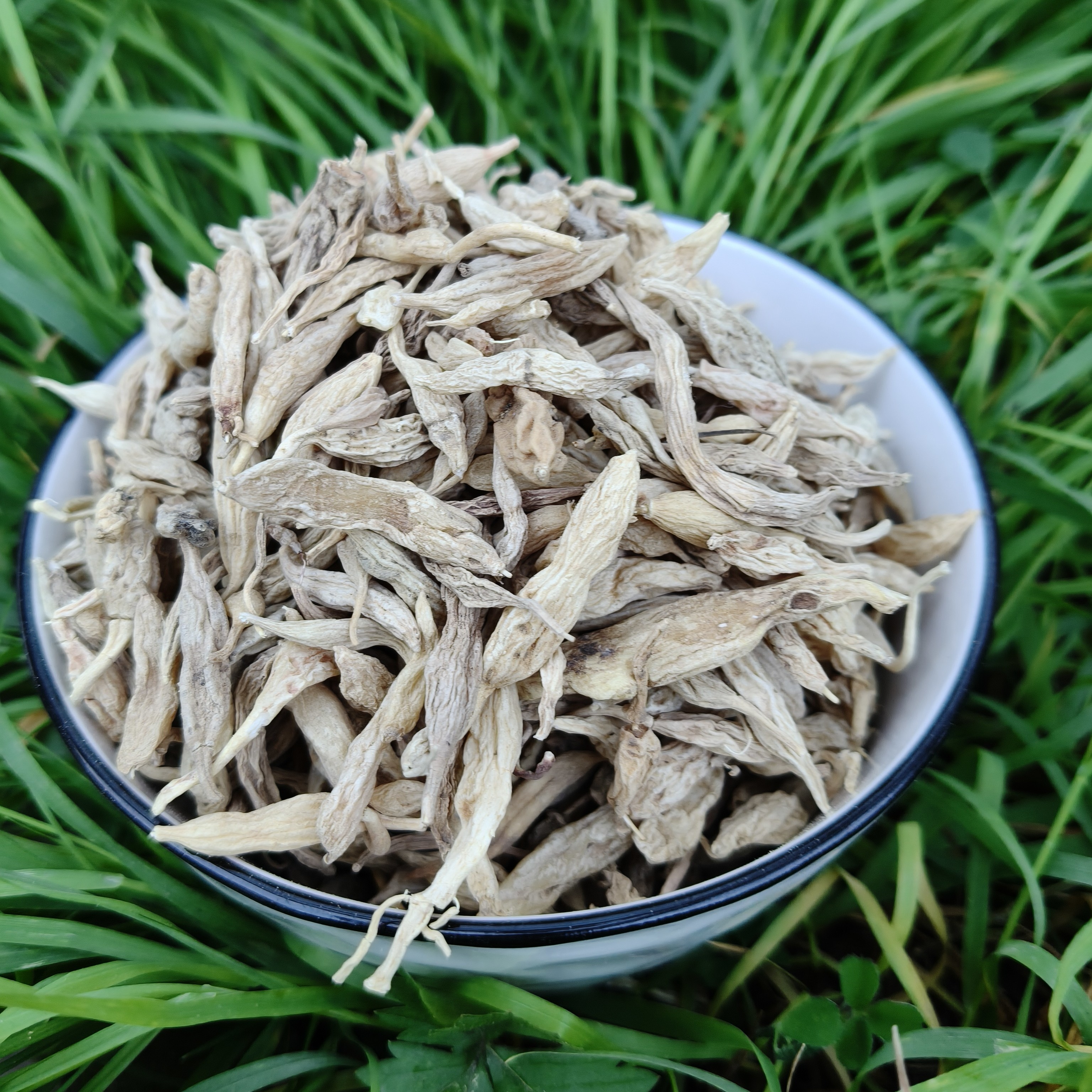 陇南深山采挖麦冬250g包邮