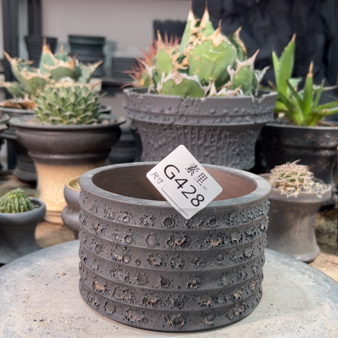 景德镇素里手工内口12.5高8.5