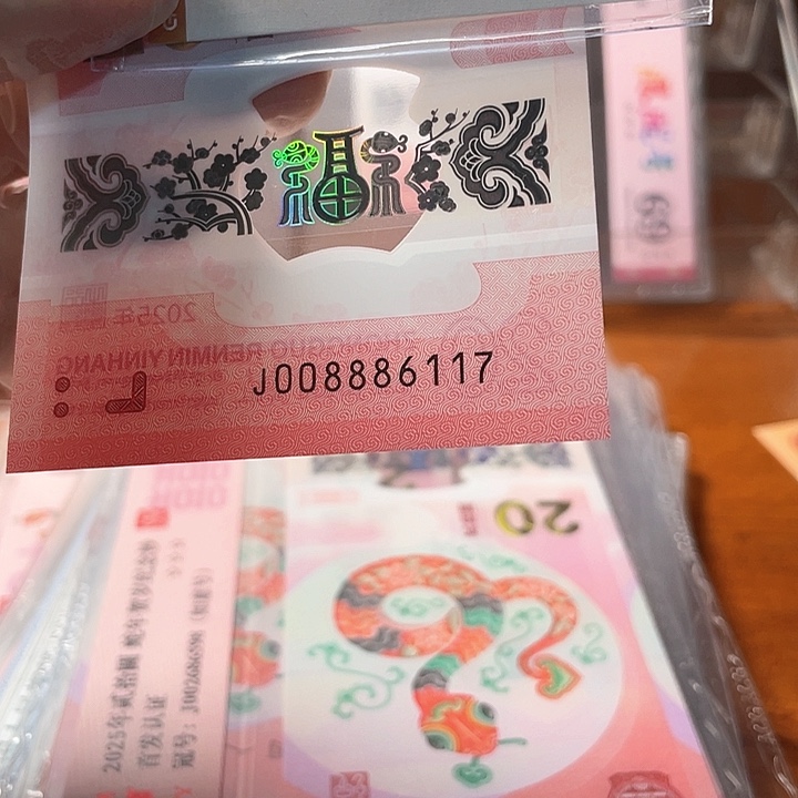 塑料008886117 蛇钞单张