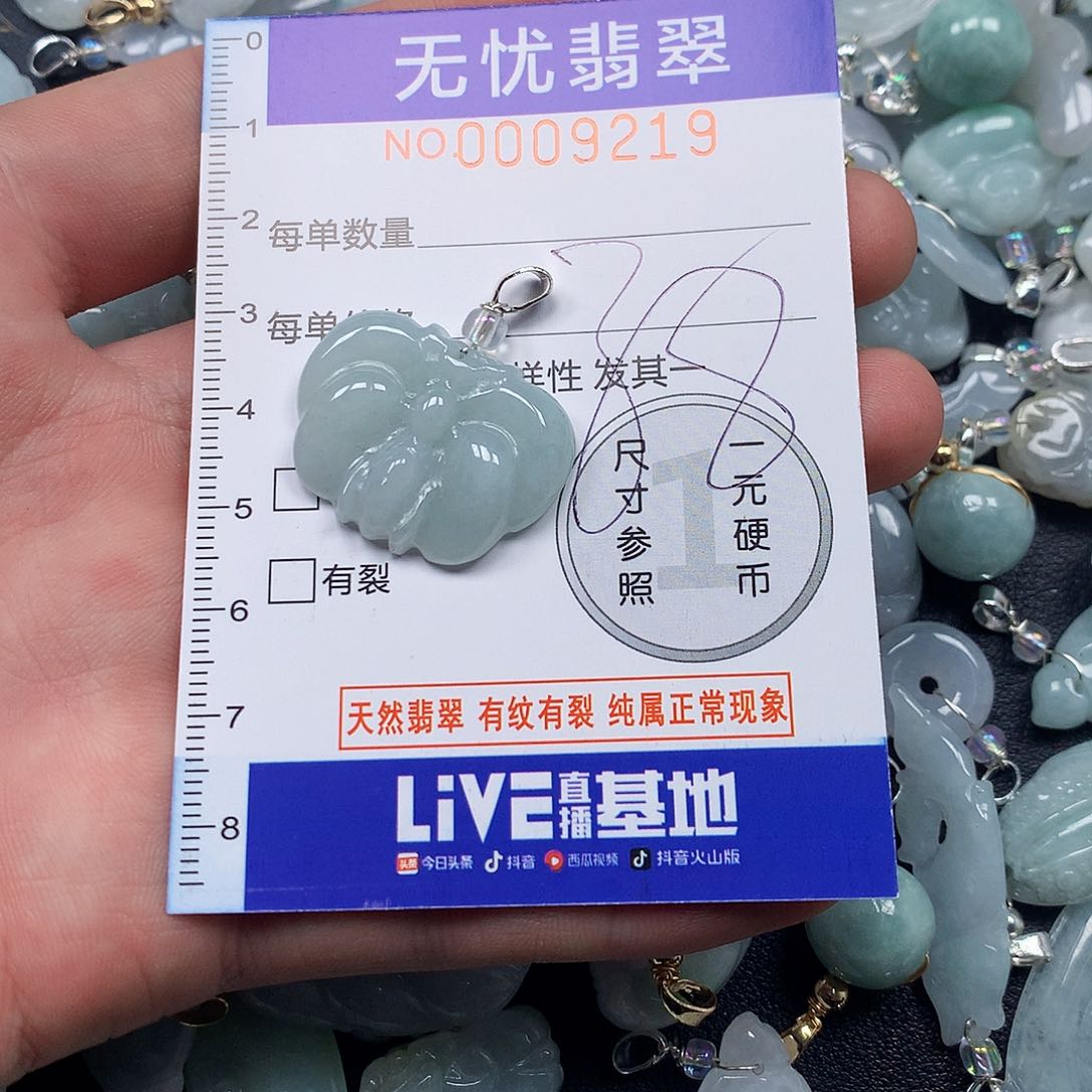 颈饰未镶嵌翡翠v