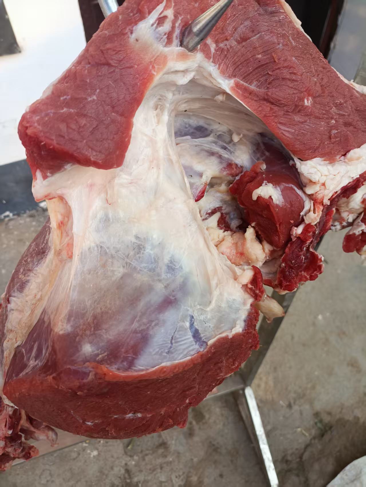 【牛肉】农家新鲜现杀牛肉