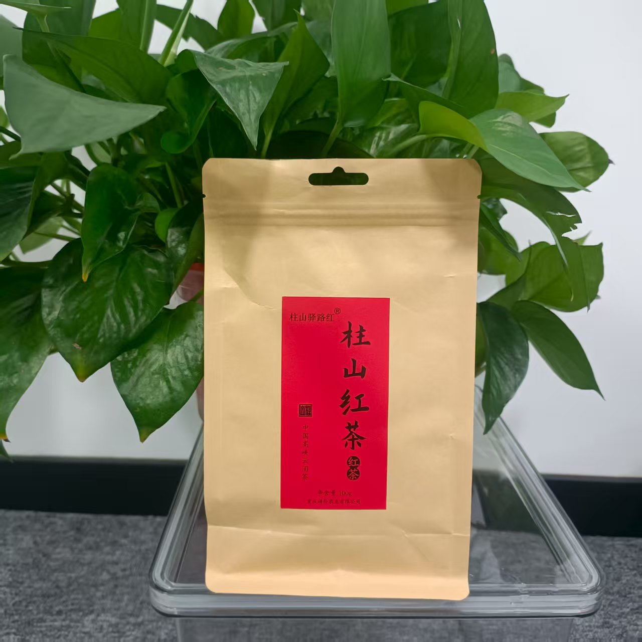 2025万州柱山新茶.红茶条索乌润带金毫、汤色红亮、蜜香浓郁