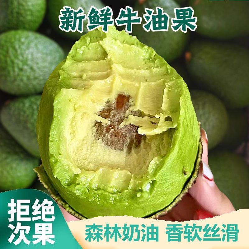 【精品大果】秘鲁进口哈斯牛油果鳄梨果王式巨无霸当季新鲜营养水果