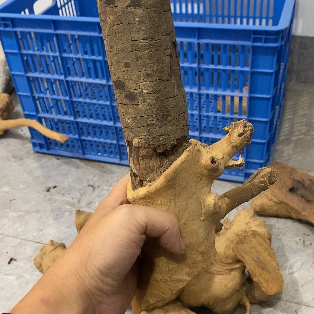 一****荔枝木荔枝木原料