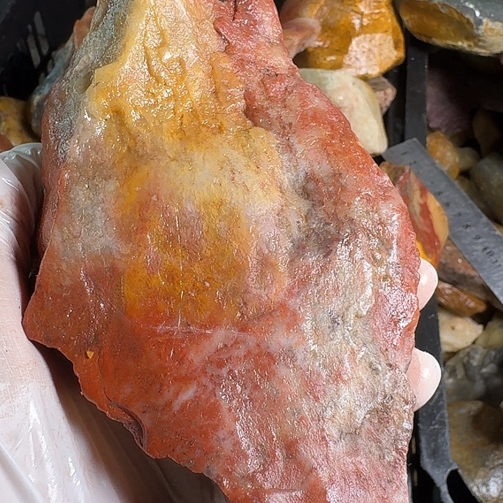 奇***杨寿山石寿山石的颜色