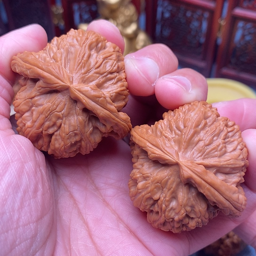 文玩核桃把件全品白狮子绝配粗棱45尺