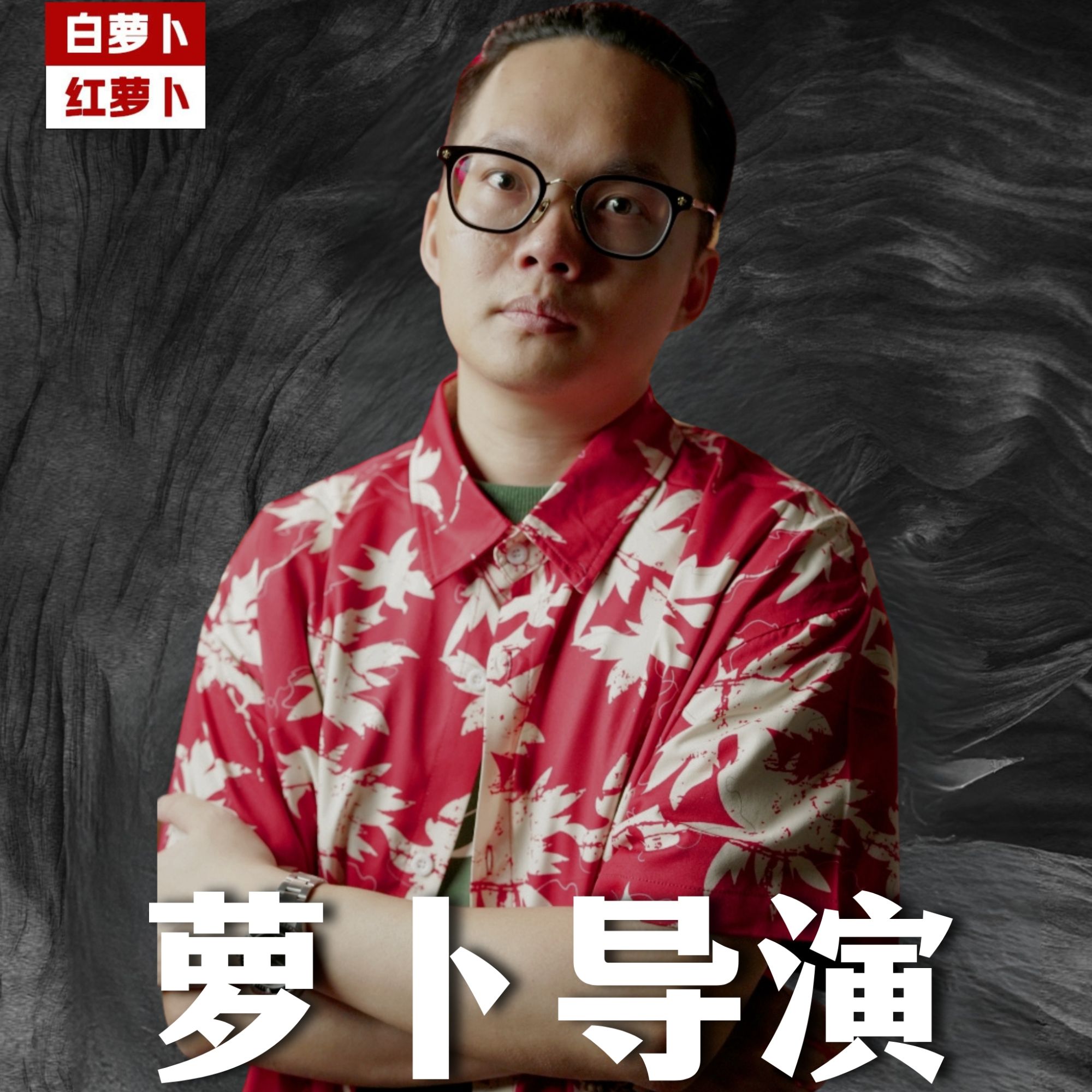萝卜导演-训练营-线上
