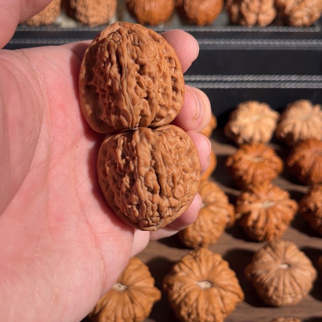 手串/手链核桃宜**活36全品三角白