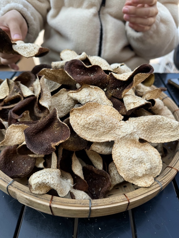 2022天马原枝大红皮