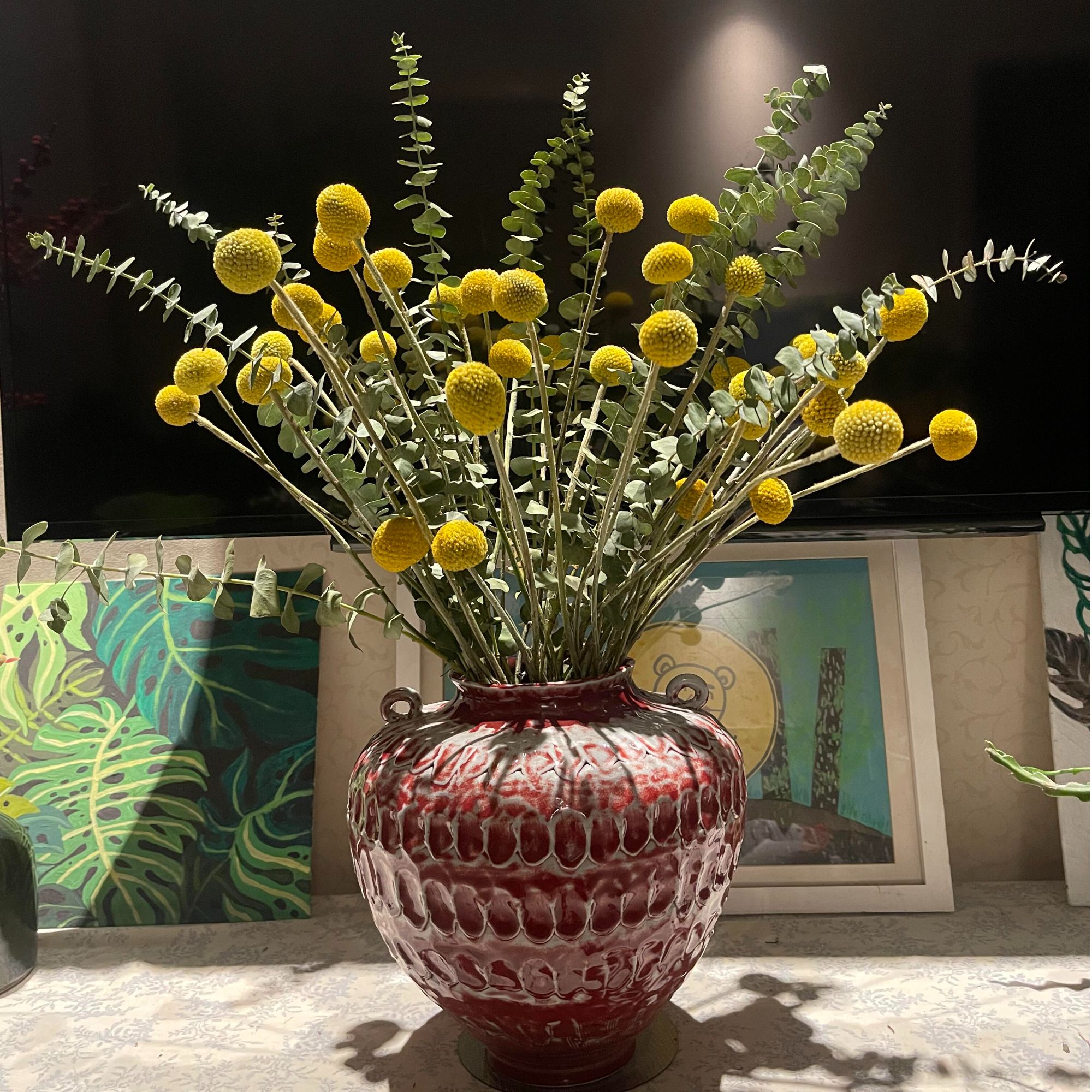 尤加利叶钱串叶配草【可做干花】