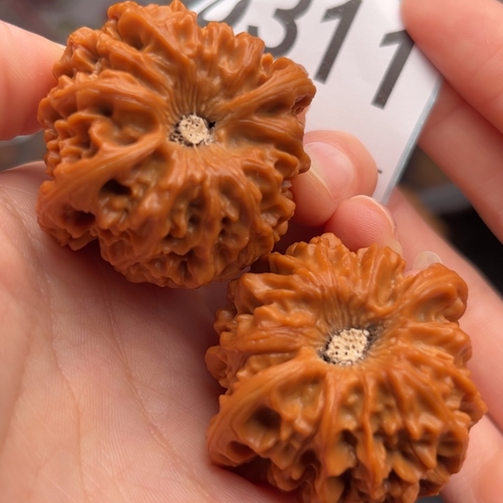 吊坠文玩核桃311龙门涧42.5