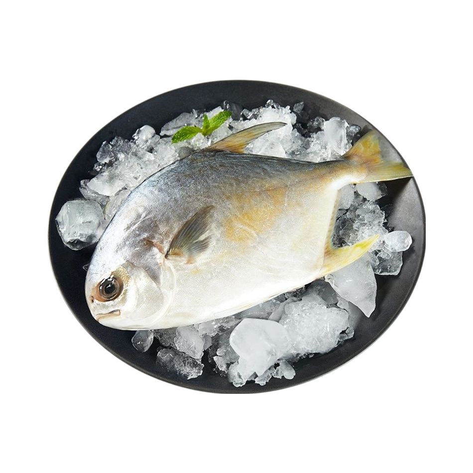 冰鲜金鲳鱼（250-300g）