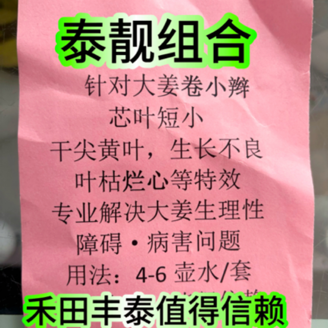大姜卷小辫，芯叶短小干尖黄叶生长不良等生理性障碍