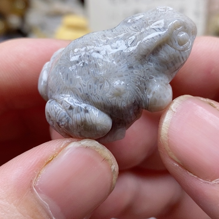 颈饰未镶嵌硅化珊瑚（珊瑚玉）