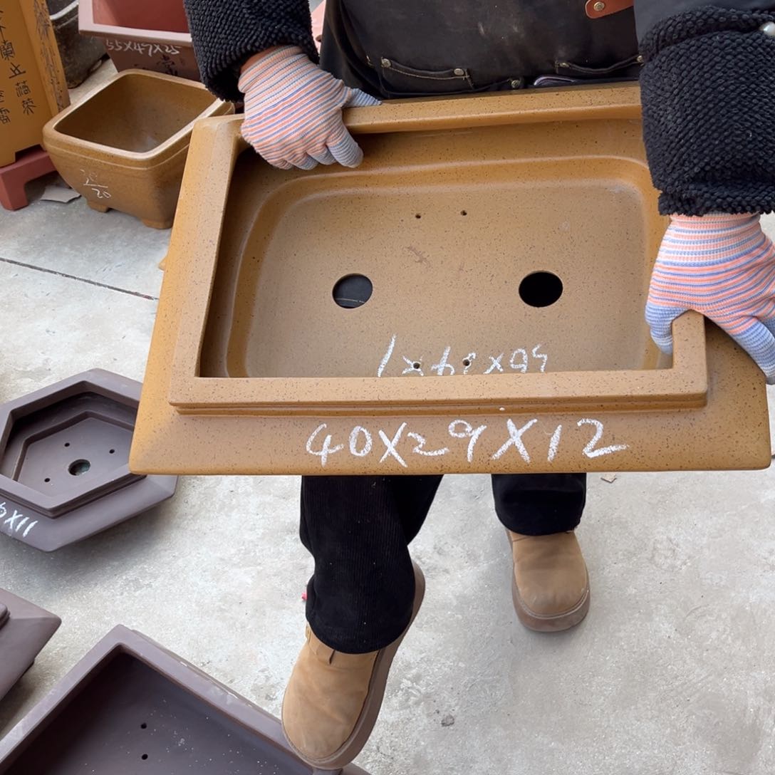 紫砂花盆盆景艺术