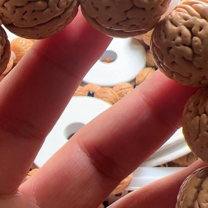 桃核手串白月光桃核手串24