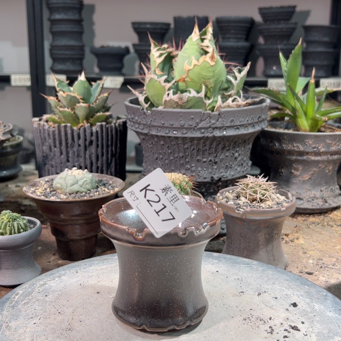 景德镇素里手工内口9高8.5