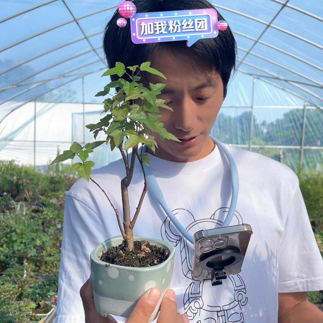 无花朵唐风唐风唐风唐风