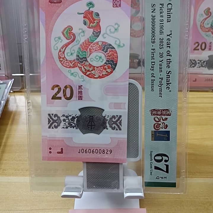 塑料蛇钞如图所示060600829龙珠王