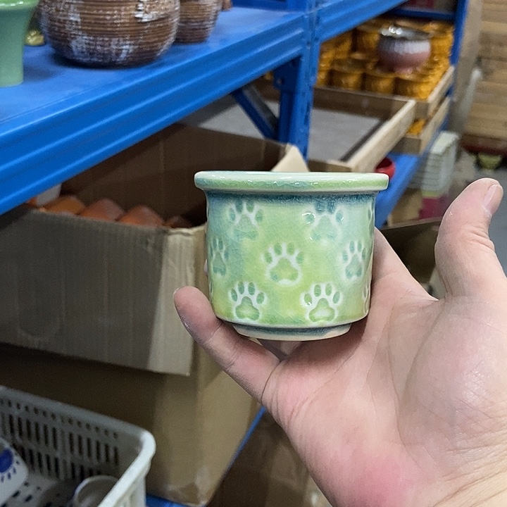 花盆单场满9.9发货8×6.5熊爪