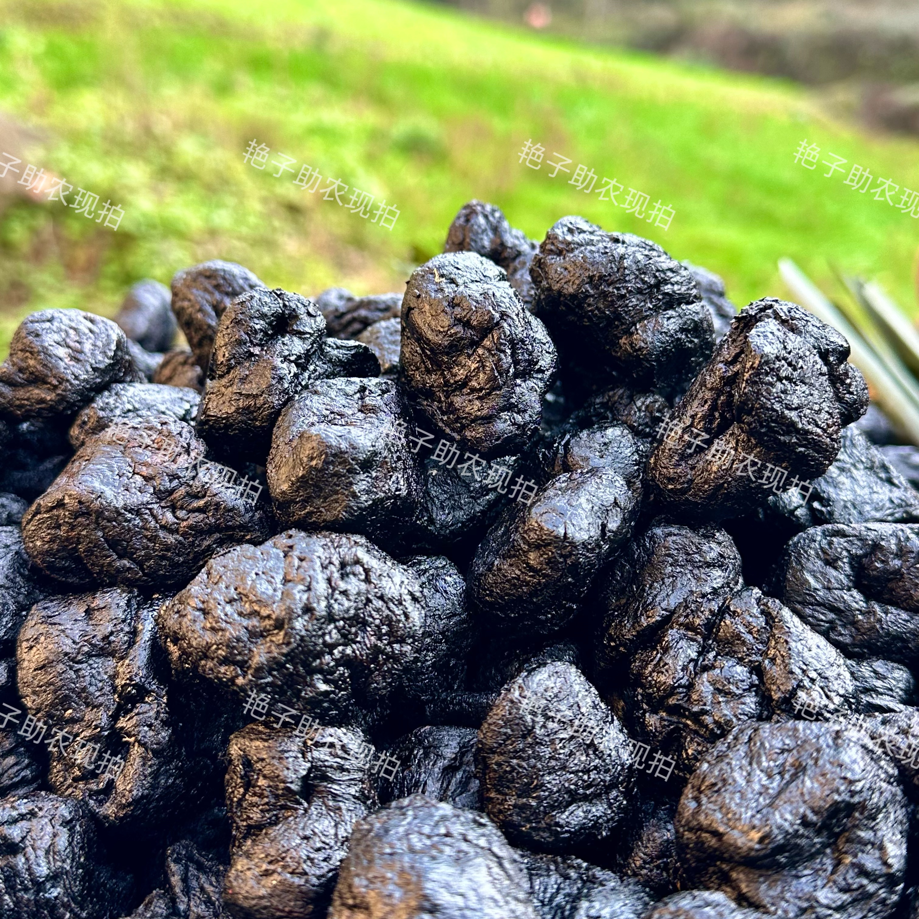 【现收熟地黄】九蒸九制