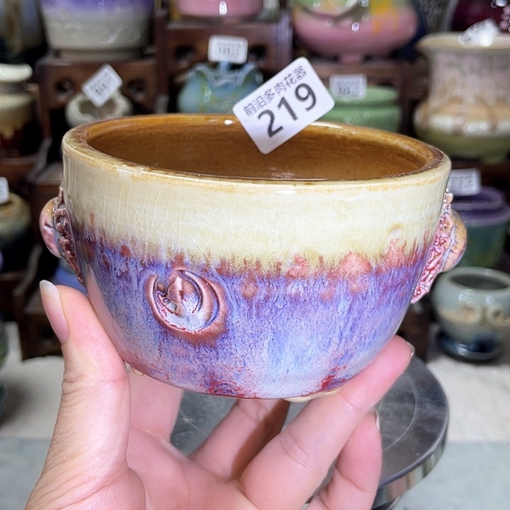 红陶内口径9高度7