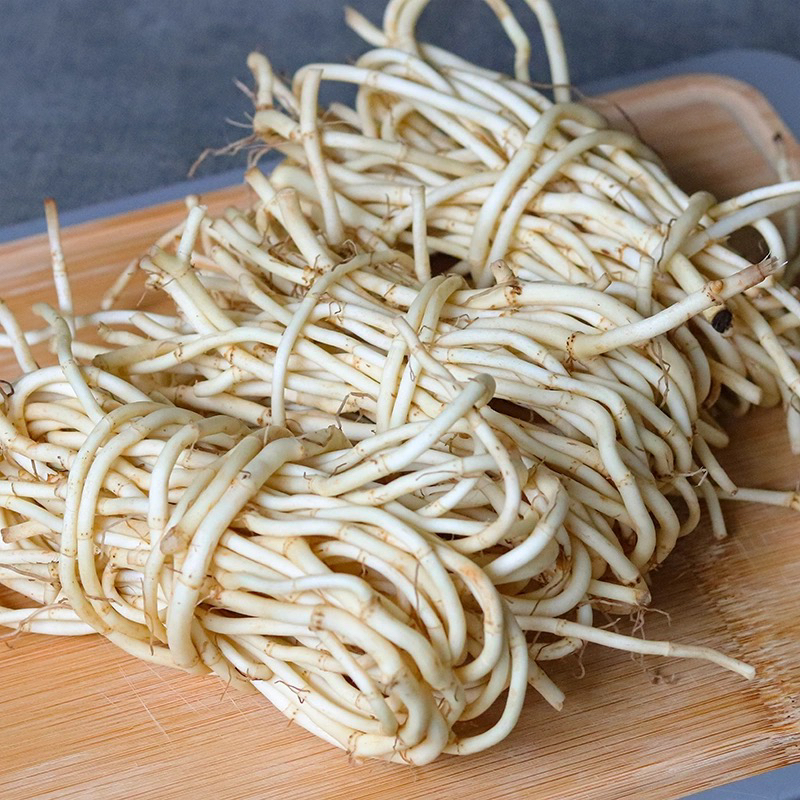 云南保山折耳根新鲜调料蔬菜凉拌菜鱼腥草嫩折耳根250克侧耳根