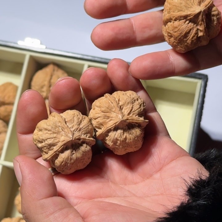 文玩核桃把件铁76蝴蝶三棱