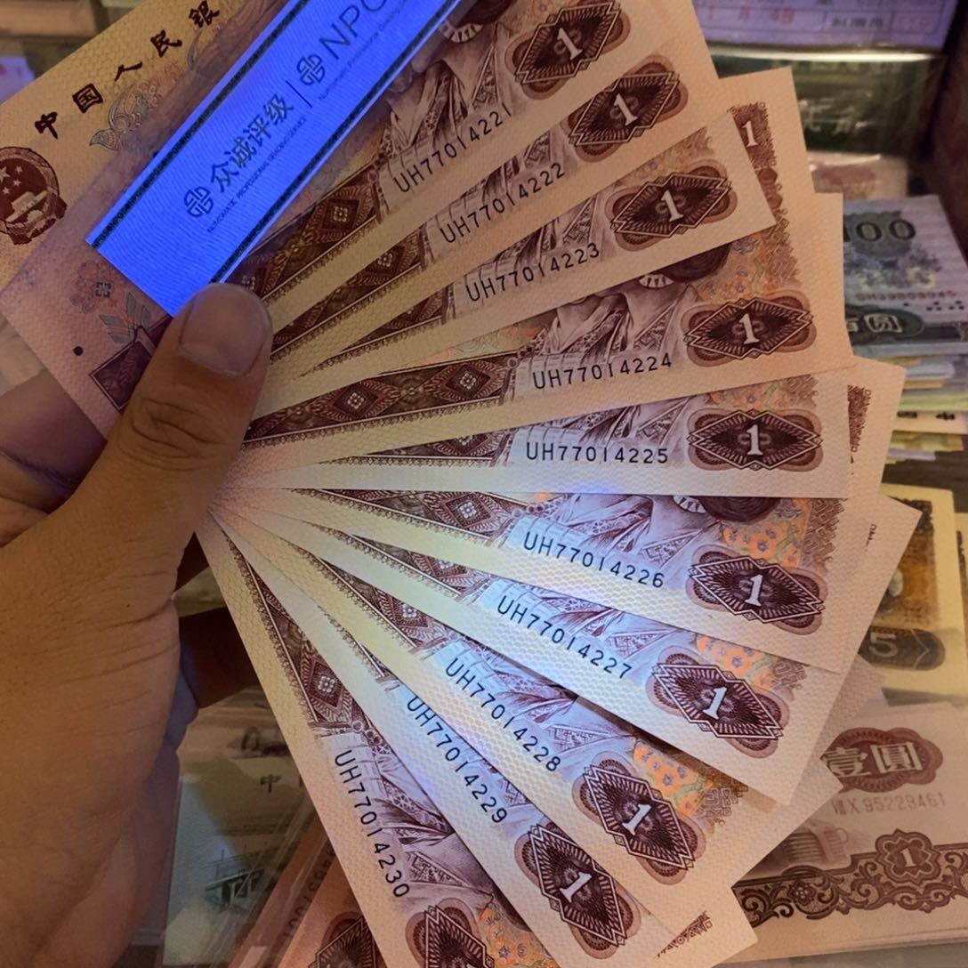 801红金龙豹子号标十连号，222