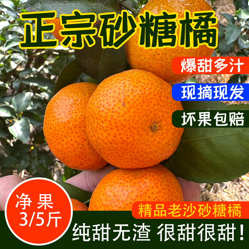 【精选老砂】正宗广西老砂砂糖橘纯甜无酸不抛光不打蜡现摘现发