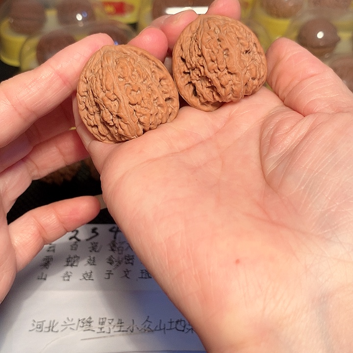 文玩核桃吊坠36尺红玛瑙