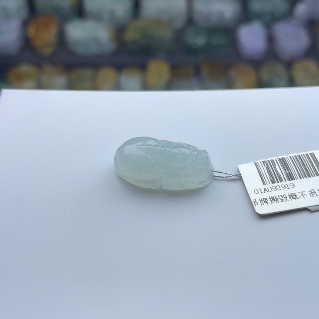 翡翠颈饰未镶嵌貔貅