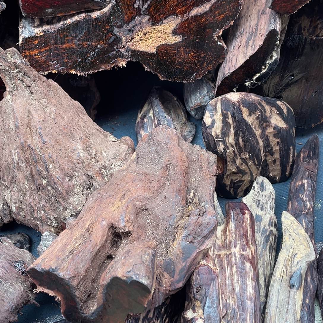 用***2定制不退不换1213规格